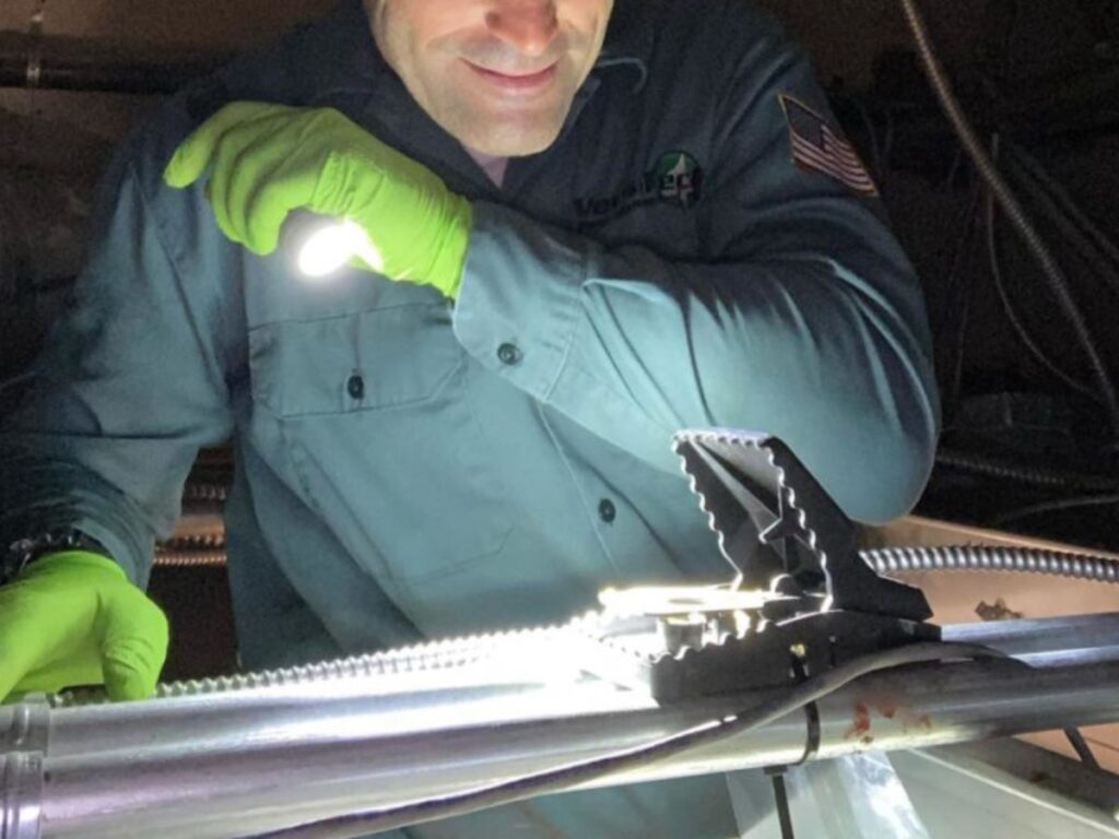 Residential Rodent Removal Los Angeles Attic Crawlspace Cleanup 1 Los Angeles technician sealing attic entry points for rodents