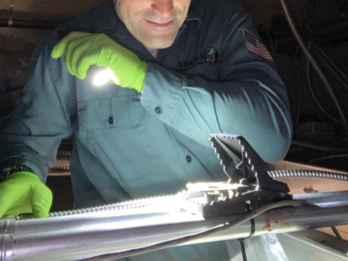 Los Angeles technician sealing attic entry points for rodents