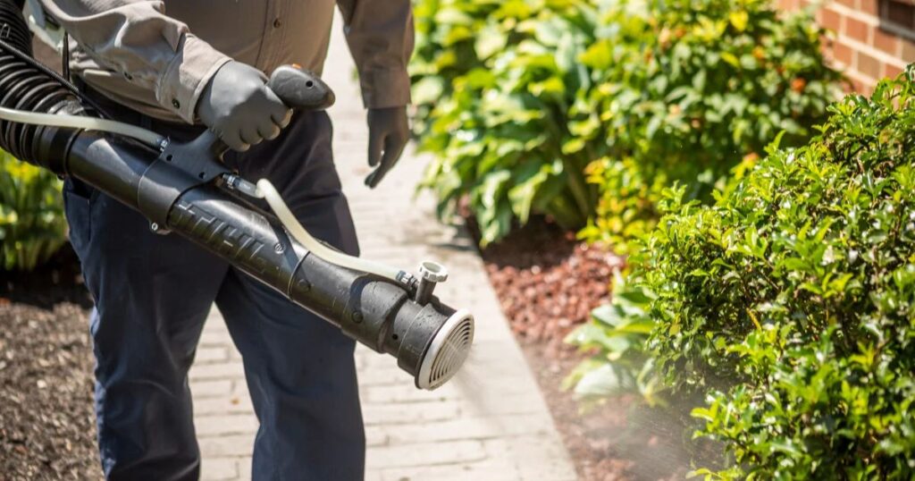 Mosquito Barrier Treatment Los Angeles: Complete Backyard Protection Solutions 1 Professional mosquito barrier treatment application Los Angeles residential backyard protection service technician